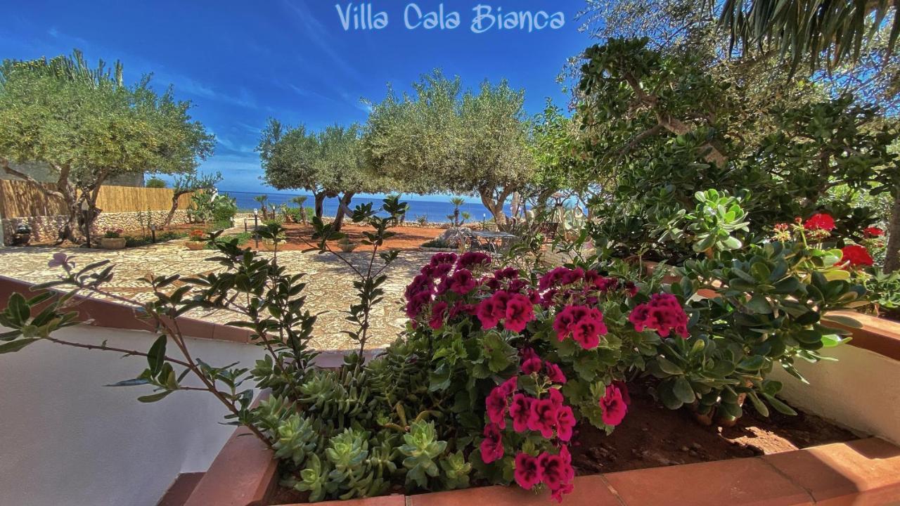 Villa Cala Bianca Castellammare del Golfo Ngoại thất bức ảnh